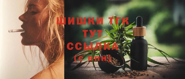 скорость Горняк