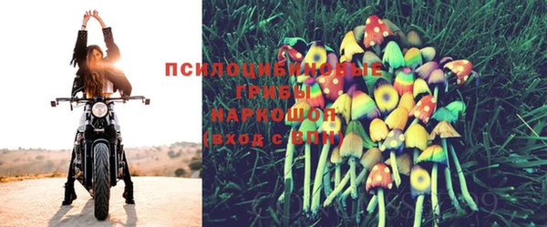 скорость Горняк