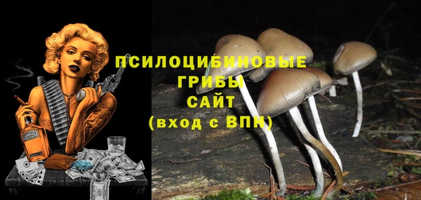 героин Горнозаводск
