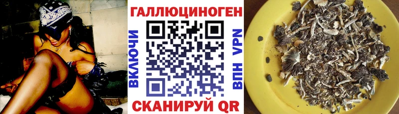 купить наркотик  Сочи  Галлюциногенные грибы Cubensis 
