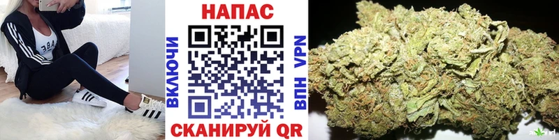 Бошки Шишки планчик  где найти наркотики  Сочи 
